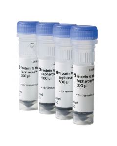Cytiva Protein G Mag Sepharose , 4 x 500uL, 37 to 100um Particle size, 13mg human IgG mL gel Binding