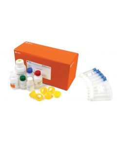 Cytiva illustra plasmidPrep Midi Flow Kit is designed for the purification of high yields of transfection-grade