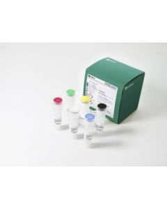 Cytiva illustra Single Cell GenomiPhi DNA Amplification Kit, 10kb, 25 rxns, 2 to 4 hr Reaction Time,