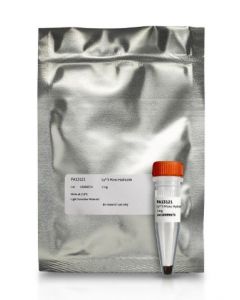 Cytiva Cy3 Mono-Reactive Hydrazide, 1mg, Red, Solid, 765 95 Molecular Weight, 0 15 Quantum Yield, 150000