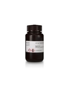 Cytiva CDP-Star Detection Reagent CDP-Star Detection Reagent AlkPhos Direct Labeling and Detection