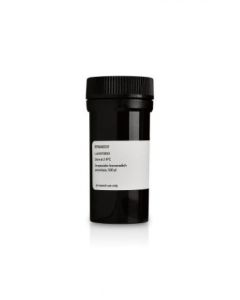 Cytiva Amdex Streptavidin-Alkaline Phosphatase Enzyme Conjugate, 0 5mL, 1mg HRP mL Concentration, 500uL