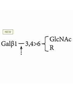 Agilent Technologies ?(1-3,4)-Galactosidase (Bovine Testis)