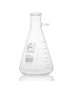 Globe Scientific Flask, Filter