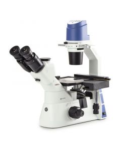 Oxion Inverso Inverted Microscopes
