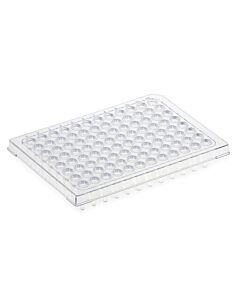 Globe Scientific Diamond Shell 0.2mL 96 well PCR Plate, HS, Clear PC frame and PP wells