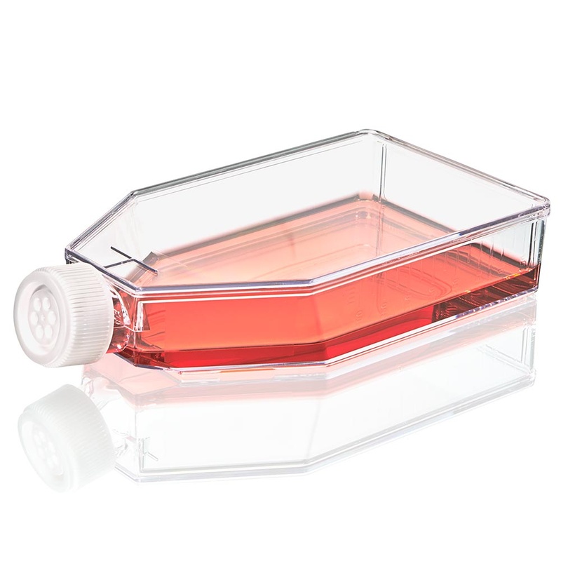 Globe Scientific Cell Culture Flask, Non-treated, 600mL