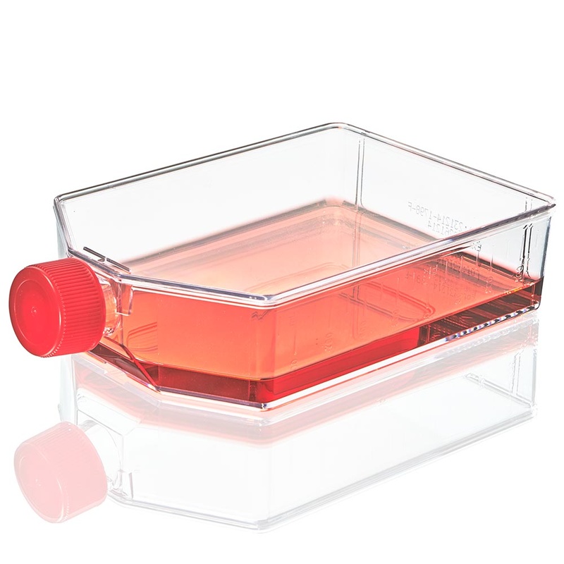 Globe Scientific Cell Culture Flask, TC Treated, 225cm2