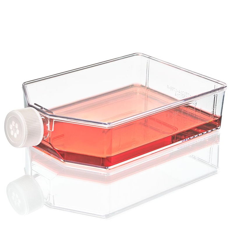 Globe Scientific Cell Culture Flask, Non-treated, 850mL