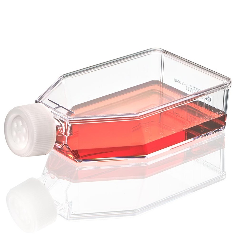 Globe Scientific Cell Culture Flask, Non-treated, 250mL