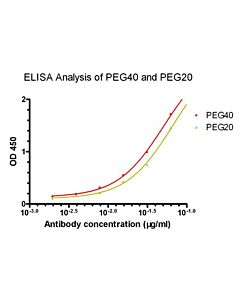 Genscript THE™ PEG Antibody [Biotin], mAb, Mouse