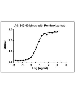Genscript Anti-Pembrolizumab Antibody(10E12C6)[Biotin], mAb, Mouse