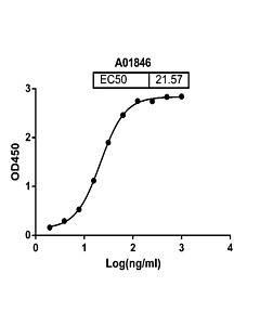 Genscript Anti-Pembrolizumab Antibody, pAb, Rabbit