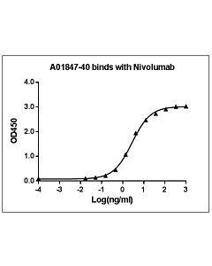 Genscript Anti-Nivolumab Antibody(8G6G3D8), mAb, Mouse