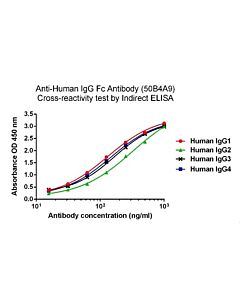 Genscript Mouse Anti-Human IgG Fc Antibody (50B4A9)[HRP], mAb