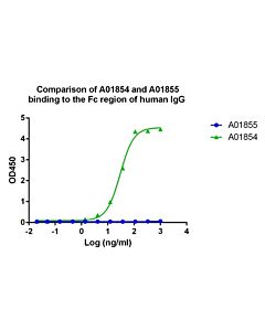 Genscript Mouse Anti-Human IgG Fab Antibody (12H3C4A6)[HRP], mAb