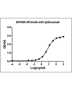 Genscript Anti-Ipilimumab Antibody(26B6H7D9), mAb, Mouse