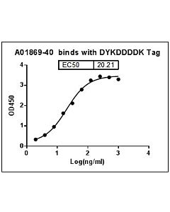 Genscript MonoRab™ DYKDDDDK Tag Antibody [HRP], mAb, Rabbit