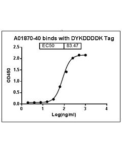 Genscript MonoRab™ DYKDDDDK Tag Antibody [Biotin], mAb, Rabbit