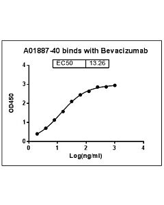 Genscript Anti-Bevacizumab Antibody, pAb, Rabbit