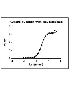 Genscript MonoRab™ Anti-Bevacizumab Antibody (30E1), mAb, Rabbit