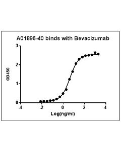 Genscript MonoRab™ Anti-Bevacizumab Antibody (46E3)[Biotin], mAb, Rabbit