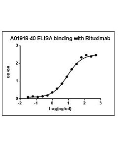 Genscript Anti-Rituximab Antibody, pAb, Rabbit