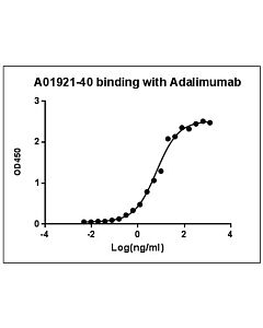 Genscript MonoRab™ Anti-Adalimumab Antibody (4E12), mAb, Rabbit