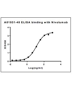 Genscript Anti-Nivolumab Antibody, pAb, Rabbit