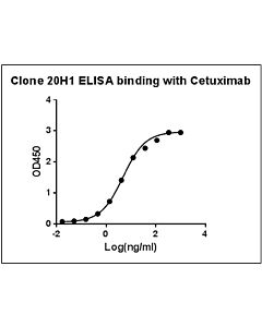 Genscript Anti-Cetuximab Antibody (20H1), mAb, Mouse