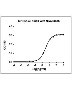 Genscript Anti-Nivolumab Antibody (6G5), mAb, Mouse