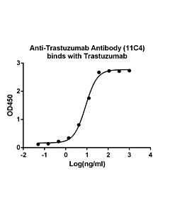 Genscript Anti-Trastuzumab Antibody (11C4), mAb, Mouse