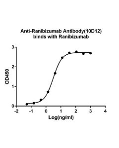 Genscript Anti-Ranibizumab Antibody (10D12), mAb, Mouse