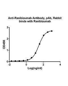 Genscript Anti-Ranibizumab Antibody, pAb, Rabbit
