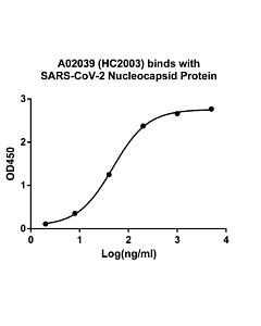 Genscript SARS-CoV-2 Nucleocapsid Antibody (HC2003), Human Chimeric