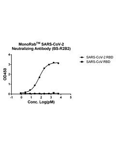 GenScript MonoRab™ SARS-CoV-2 Neutralizing Antibody (BS-R2B17), mAb, Rabbit100ug