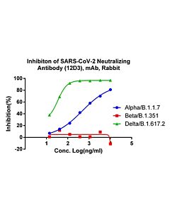 GenScript MonoRab™ SARS-CoV-2 Neutralizing Antibody (12D3), mAb, Rabbit100ug