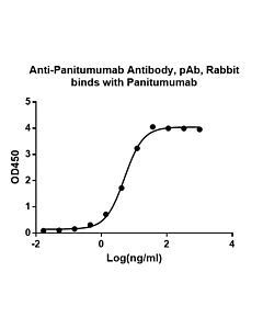 Genscript Anti-Panitumumab Antibody, pAb, Rabbit