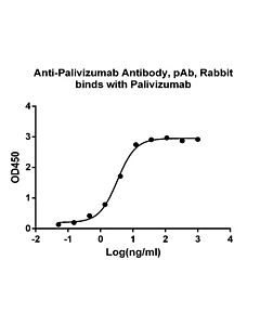 GenScript Anti-Palivizumab Antibody, pAb, Rabbit40ug