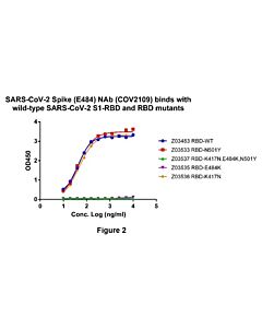 Genscript SARS-CoV-2 Spike (E484) Neutralizing Antibody (COV2109)