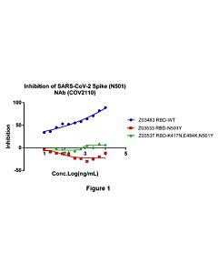 Genscript SARS-CoV-2 Spike (N501) Neutralizing Antibody (COV2110)