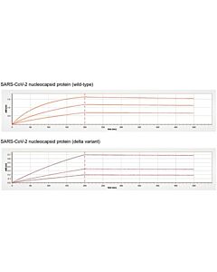 Genscript MonoRab™ SARS-CoV-2 Nucleocapsid Antibody Cocktail