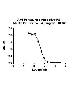 GenScript Anti-Pertuzumab Antibody (1A3), mAb, Mouse40ug