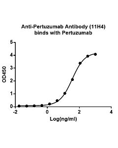 GenScript Anti-Pertuzumab Antibody (11H4), mAb, Mouse40ug