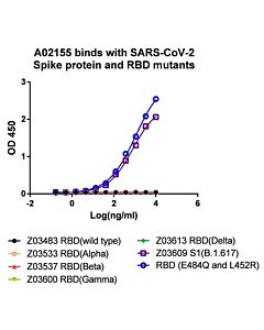 GenScript SARS-CoV-2 Spike (484Q) Antibody (Q8), mAb, Mouse100ug