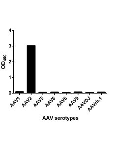 GenScript MonoRab AAV2 (intact particle) Antibody (15G4)