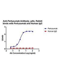 GenScript Anti-Pertuzumab AB, pAb, Rabbit