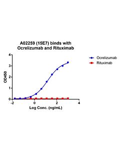 GenScript MonoRab™ Anti-Ocrelizumab Antibody (15E7), mAb, Rabbit