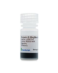 Genscript Protein G MagBeads MX