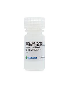 Genscript MonoRab™ Anti-DYKDDDDK Affinity Resin